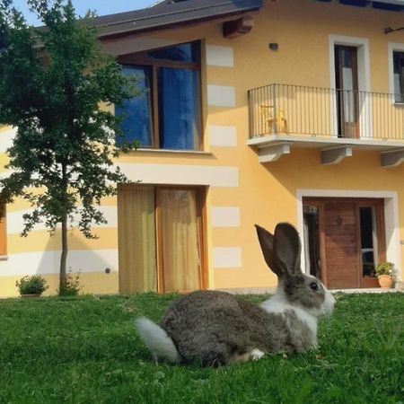 Agriturismo Fior Di Campo Dronero Zewnętrze zdjęcie