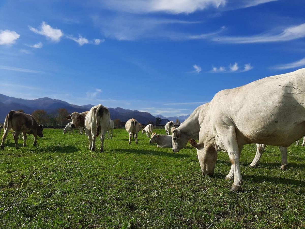 Agriturismo Fior Di Campo Dronero Zewnętrze zdjęcie