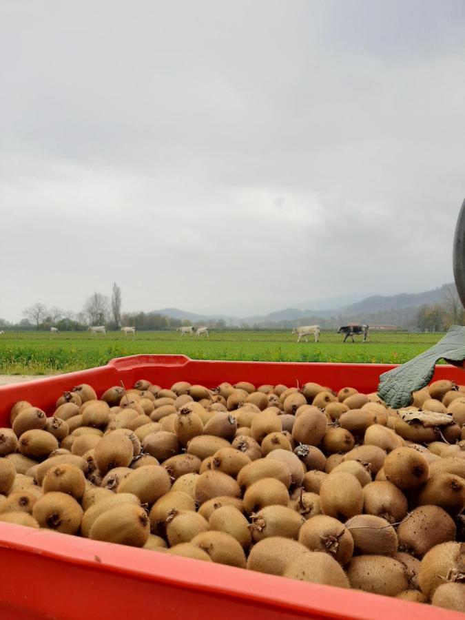 Agriturismo Fior Di Campo Dronero Zewnętrze zdjęcie