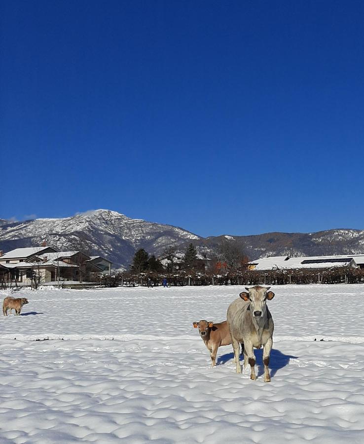 Agriturismo Fior Di Campo Dronero Zewnętrze zdjęcie