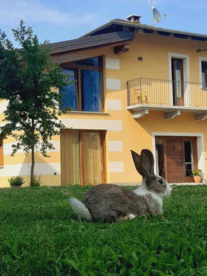 Agriturismo Fior Di Campo Dronero Zewnętrze zdjęcie