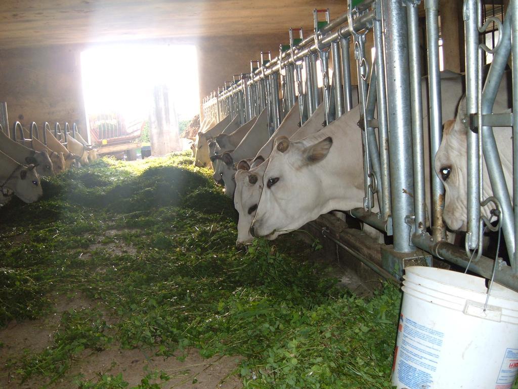 Agriturismo Fior Di Campo Dronero Zewnętrze zdjęcie