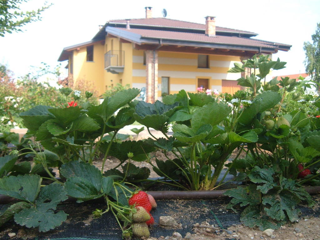 Agriturismo Fior Di Campo Dronero Zewnętrze zdjęcie